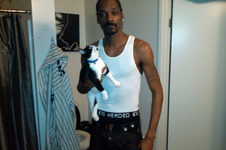 Illustration for article titled Rappers And Cats: A Complete History